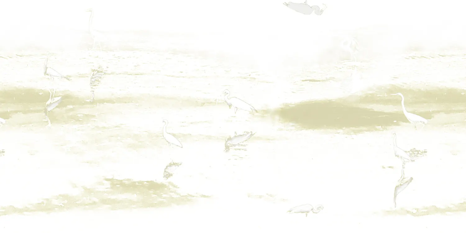 학
